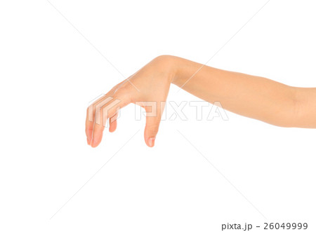 Beautiful woman hand holding isolated on white background . Beautiful woman hand holding isolated on white background . 26049999