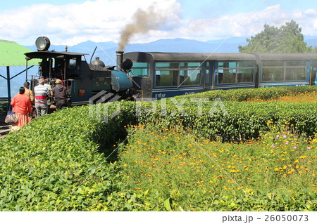 世界遺産の鉄道 ダージリンヒマラヤ鉄道の蒸気機関車 インド 世界遺産の鉄道 ダージリンヒマラヤ鉄道の蒸気機関車 インド 26050073
