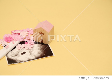 妊娠　妊婦健診 26050279