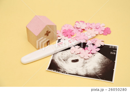 妊娠　妊婦健診 26050280