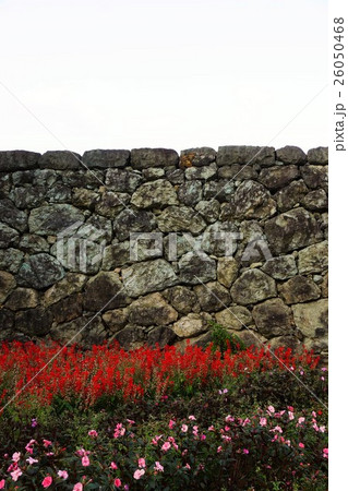 真田丸元城  秋の信州上田城(真田城) 26050468