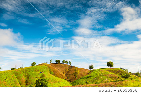 Agricultural areas in Thailand 5 Agricultural areas in Thailand 5 26050938