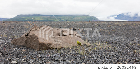 Big rock on the black beach, Iceland 26051468