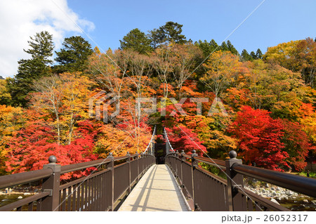 紅の吊橋 26052317