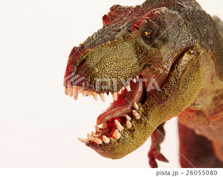 dinosaur dinosaur 26055080