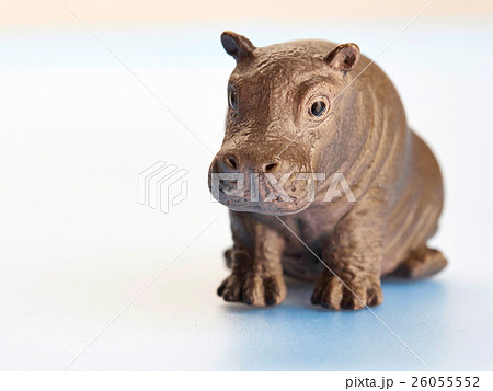 Isolated dinosaur in white background 26055552