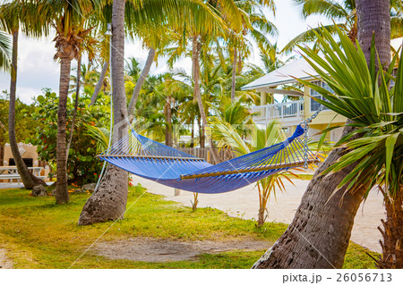 Tropical resort with chaise longs and hammocks Tropical resort with chaise longs and hammocks 26056713
