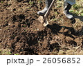畑仕事・スコップを使う動作 26056852