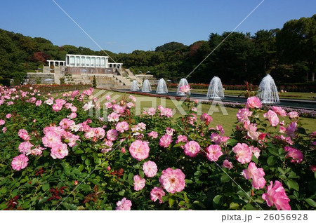 兵庫県神戸市須磨区の丘陵に広がる都市公園「須磨離宮公園」 26056928