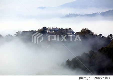 天空の城557 天空の城557 26057364