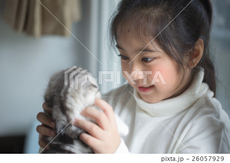 Happy little Asian girl hugging scottish fold cat Happy little Asian girl hugging scottish fold cat 26057929
