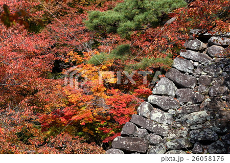 懐古園の秋 26058176