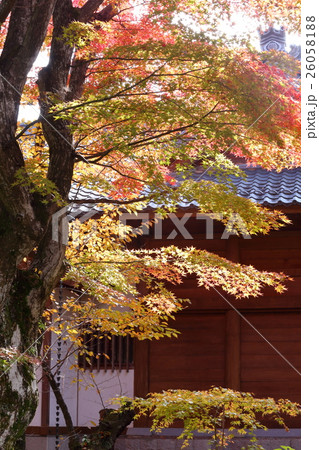 懐古園の秋 26058188