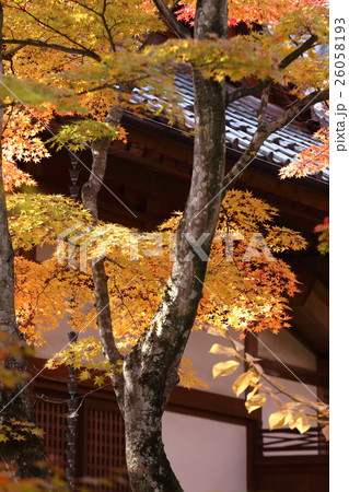 懐古園の秋 26058193