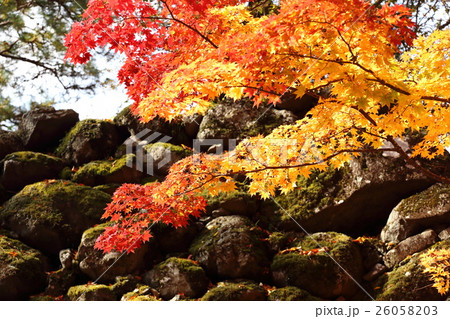 懐古園の秋 26058203