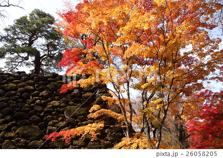 懐古園の秋 26058205