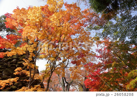 懐古園の秋 26058208