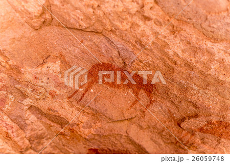 The prehistoric rock engravings at Twyfelfontein 26059748