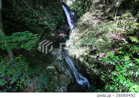 愛媛県　三滝渓谷　タロウ淵 26060492