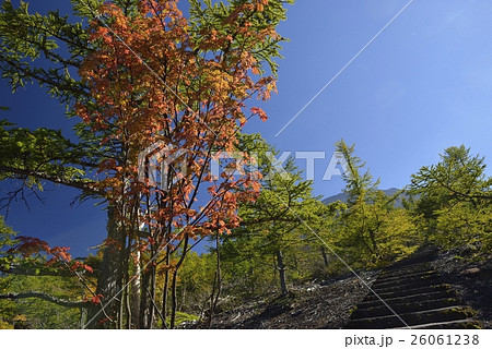 御庭・富士山の紅葉（山梨県） 26061238