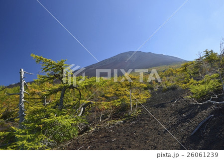 御庭・富士山の紅葉（山梨県） 26061239