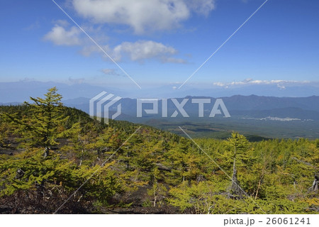 御庭・富士山の紅葉(山梨県) 御庭・富士山の紅葉(山梨県) 26061241