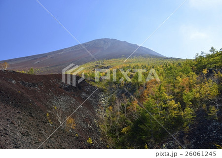 御庭・富士山の紅葉（山梨県） 26061245