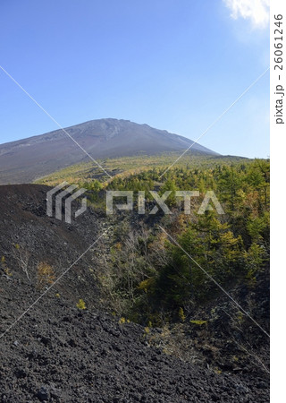 御庭・富士山の紅葉（山梨県） 26061246