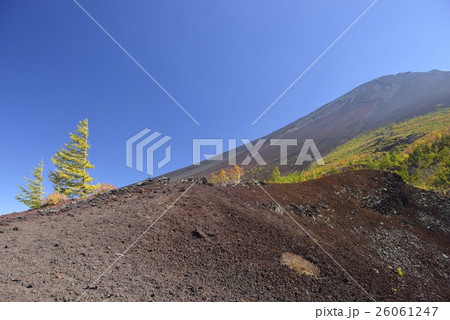 御庭・富士山の紅葉（山梨県） 26061247