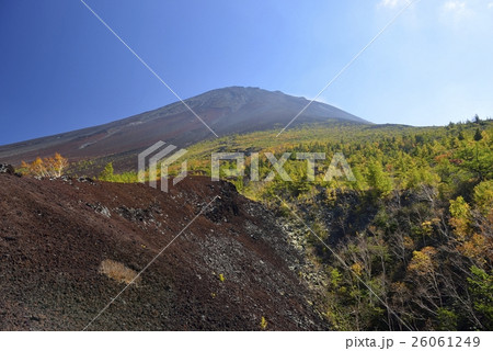 御庭・富士山の紅葉（山梨県） 26061249