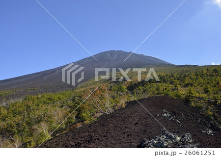 御庭・富士山の紅葉(山梨県) 御庭・富士山の紅葉(山梨県) 26061251