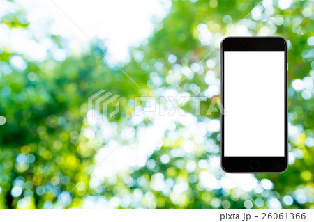 はめこみ　スマホ新緑イメージ　合成用背景素材　緑の背景　植物　春　初夏　木漏れ日　緑とコピースペース 26061366