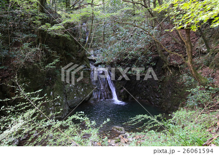 愛媛県 三滝渓谷 アカゴ淵 愛媛県 三滝渓谷 アカゴ淵 26061594