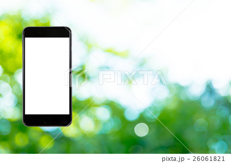 はめこみ　スマホ新緑イメージ　合成用背景素材　緑の背景　植物　春　初夏　木漏れ日　緑とコピースペース 26061821