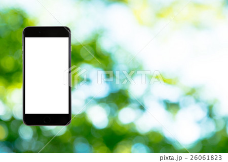 はめこみ スマホ新緑イメージ 合成用背景素材 緑の背景 植物 春 初夏 木漏れ日 緑とコピースペース はめこみ スマホ新緑イメージ 合成用背景素材 緑の背景 植物 春 初夏 木漏れ日 緑とコピースペース 26061823