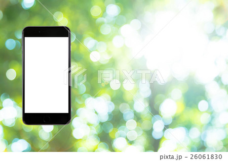 はめこみ　スマホ新緑イメージ　合成用背景素材　緑の背景　植物　春　初夏　木漏れ日　緑とコピースペース 26061830