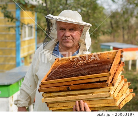 Beekeeper is working with bees and beehives on the apiary. Beekeeper is working with bees and beehives on the apiary. 26063197
