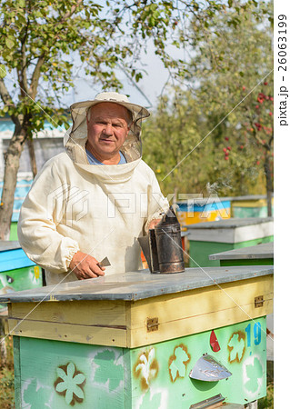 beekeeper hives in the apiary near blows smoker for bees. 26063199