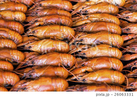 Background with many crawfishes 26063331