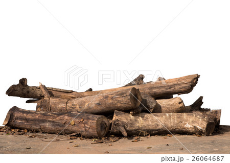 Pile of firewood isolated on  white background. 26064687