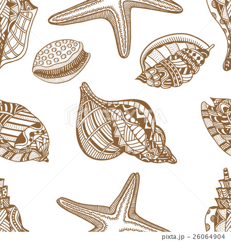 Sea Shells Brown And Whiteのイラスト素材