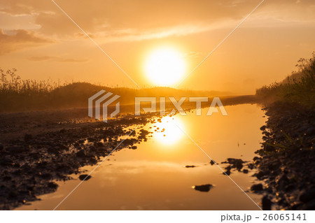 Misty rural road in the field 26065141