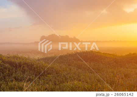 Foggy meadow at sunset 26065142