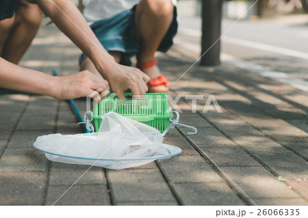 Fun summer holidays Fun summer holidays 26066335