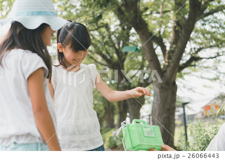 Fun summer holidays Fun summer holidays 26066443