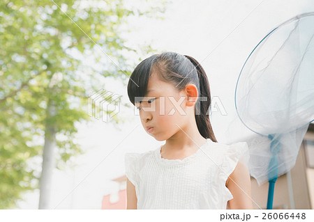 Fun summer holidays 26066448