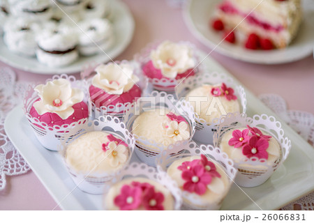 Close up, cupcakes on tray decorated with pink Close up, cupcakes on tray decorated with pink 26066831