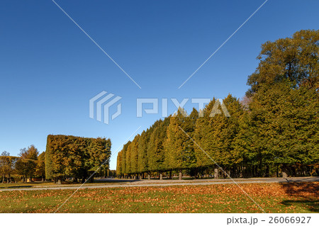 Beautiful landscape - autumn park Beautiful landscape - autumn park 26066927