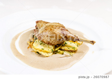 duck with vegetables duck with vegetables 26070987
