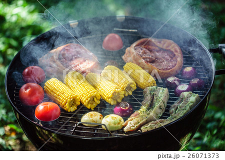 Barbecue grill concept Barbecue grill concept 26071373